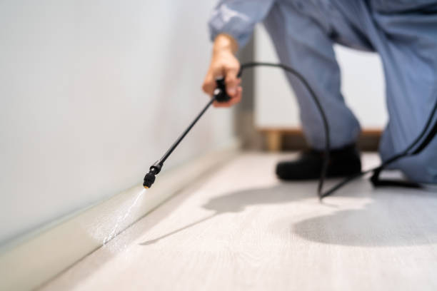 Licensed Rodent Control service in River Ridge, LA - Nex Pest Control