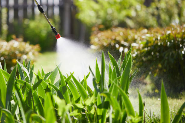 24/7 Emergency Rodent Control experts in River Ridge, LA