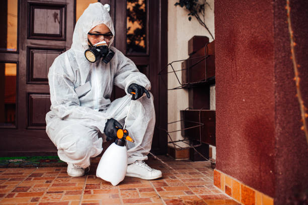 Reliable Rodent Control contractor in River Ridge, LA by Nex Pest Control