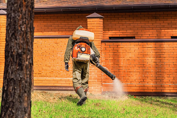 Trusted Rodent Control service in River Ridge, LA - Nex Pest Control